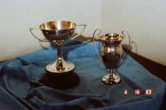 1983 appraisal trophy artifact